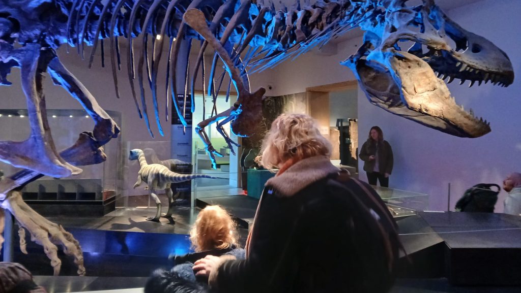 Photo of young carer and support worker looking at a t-rex skeleton.